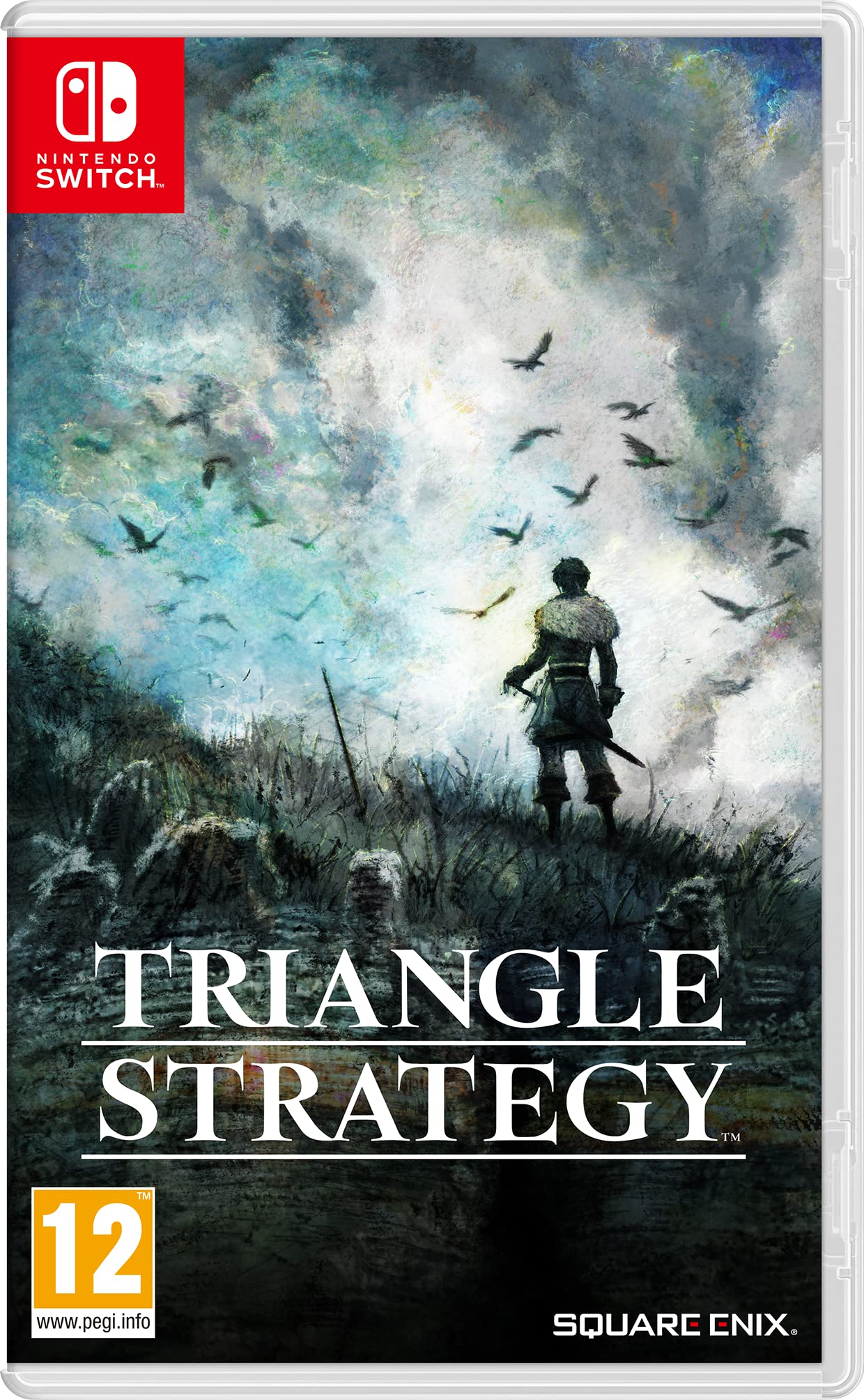 Triangle Strategy - RJC Switch