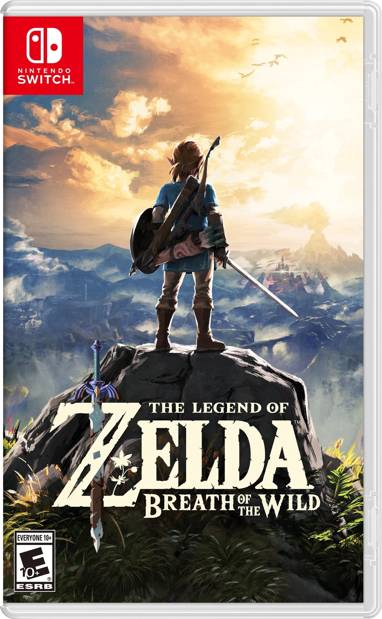 Zelda Breath Of The Wild - RJC Switch